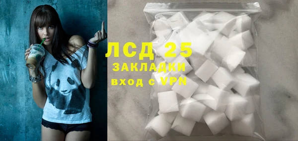 ГАЛЛЮЦИНОГЕННЫЕ ГРИБЫ Костерёво