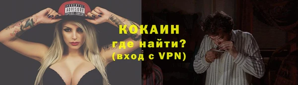 ГАЛЛЮЦИНОГЕННЫЕ ГРИБЫ Костерёво