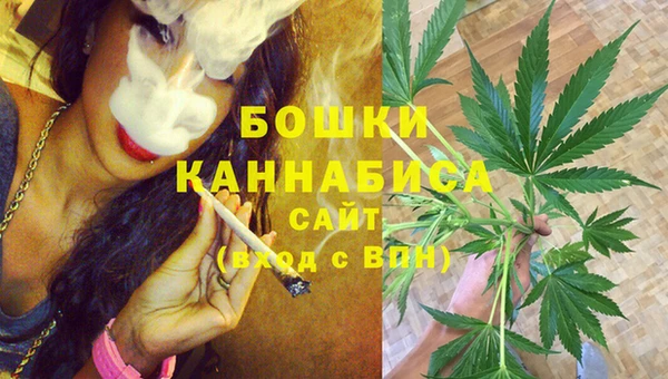 ГАЛЛЮЦИНОГЕННЫЕ ГРИБЫ Костерёво