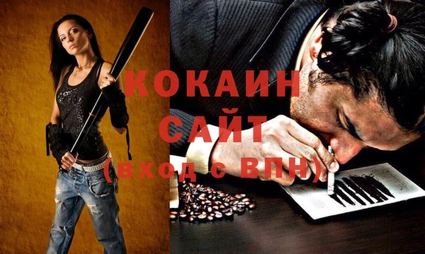 ГАЛЛЮЦИНОГЕННЫЕ ГРИБЫ Костерёво