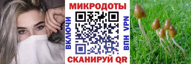 Галлюциногенные грибы прущие грибы  сколько стоит  Руза 