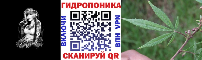 Каннабис OG Kush  Руза 